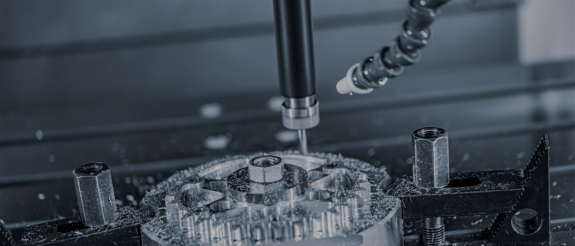 金狮贵宾会-宾至如归-尊贵-显赫【官方网站】